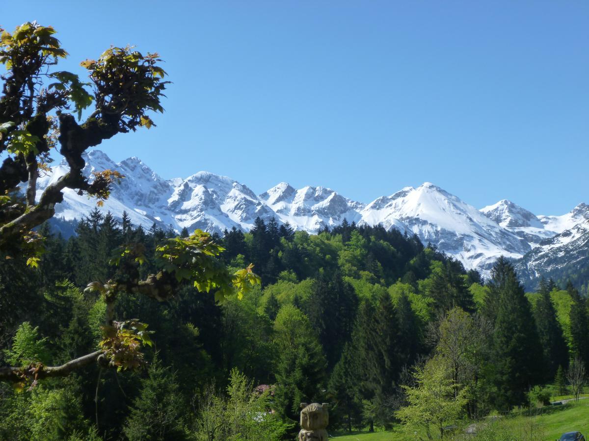 אוברסטדורף Alpengasthof Hotel Schwand מראה חיצוני תמונה